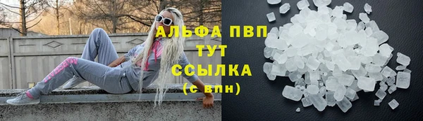 гидра Коряжма
