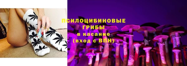 гидра Коряжма