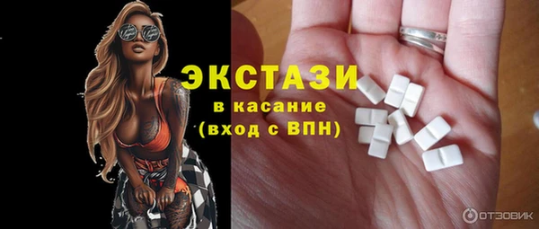 индика Козельск