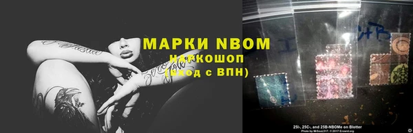 индика Козельск