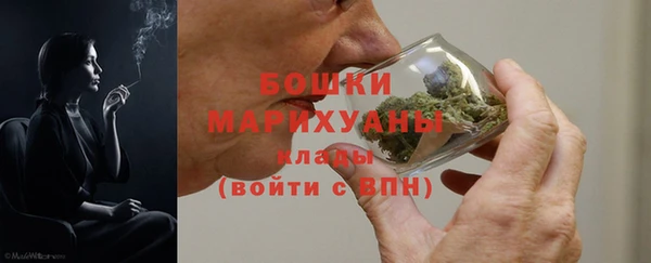гидра Коряжма