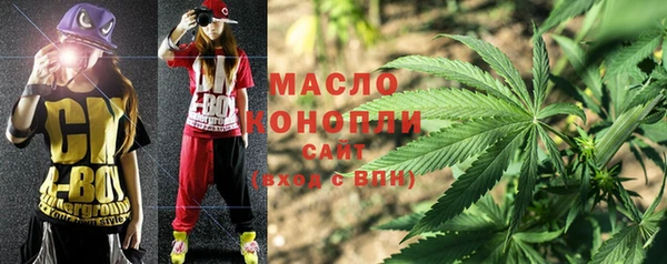 индика Козельск