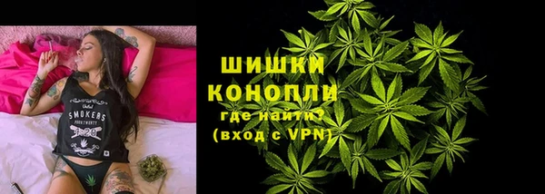 индика Козельск