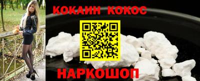 стаф Гатчина