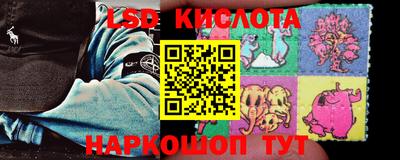 стаф Гатчина