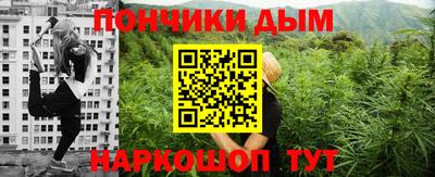 стаф Гатчина