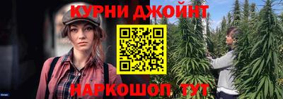 стаф Гатчина