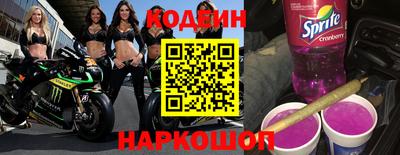 стаф Гатчина
