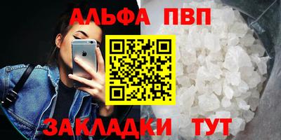 стаф Гатчина