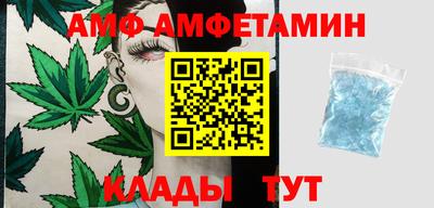 стаф Гатчина