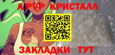 стаф Гатчина